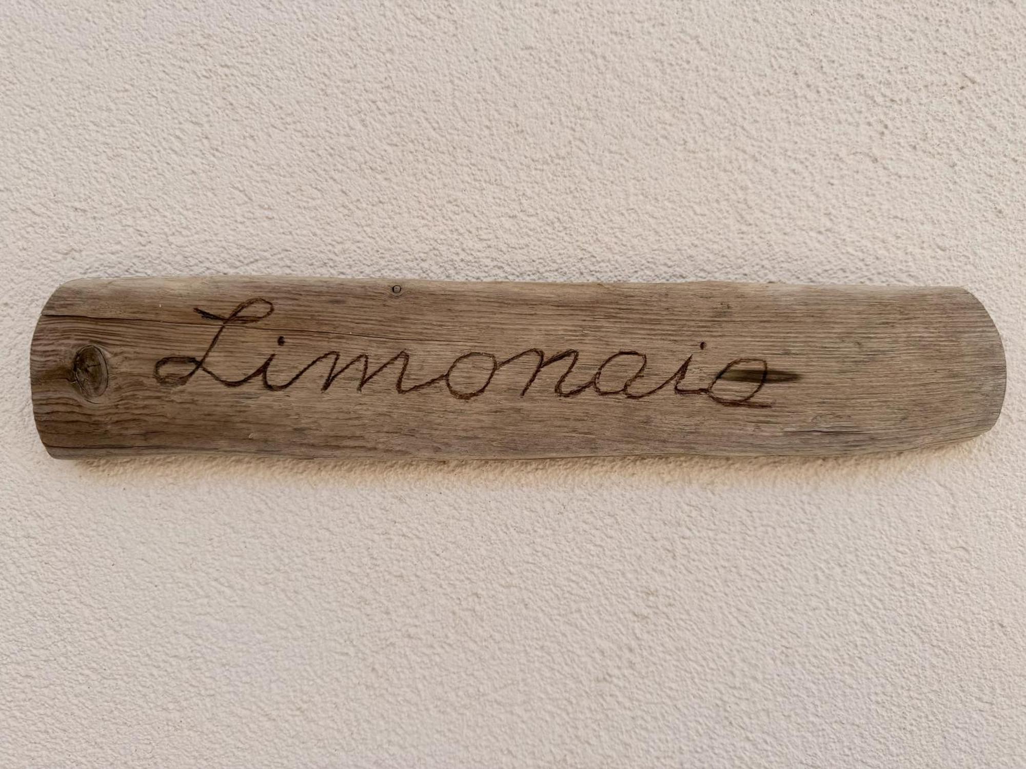 Villa Odetta - Appartamento Limonaia Torre Colimena Eksteriør billede
